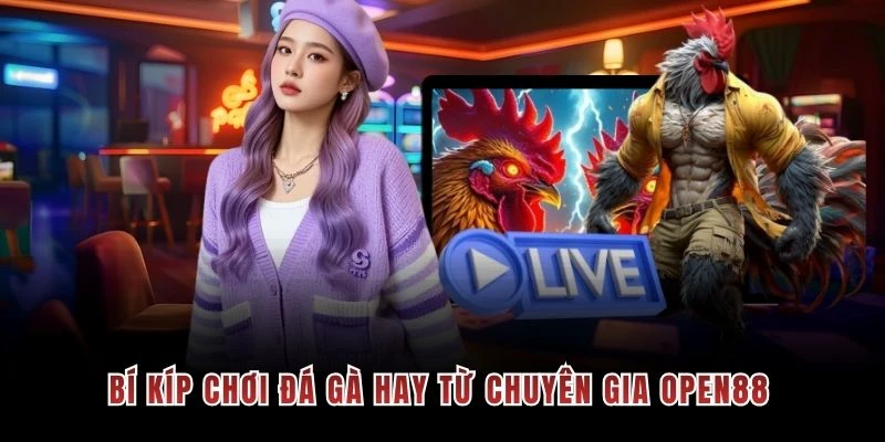 Bí kíp chơi đá gà hay từ chuyên gia OPEN88